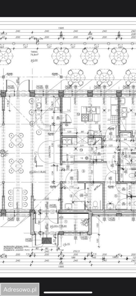 Lokal Legnica Centrum, al. Orła Białego. Zdjęcie 11