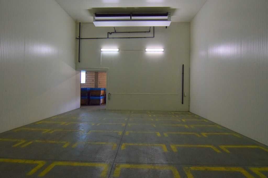 Hala/magazyn Topolany. Zdjęcie 8