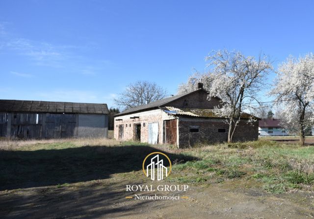 Działka rolno-budowlana Stoczek. Zdjęcie 5