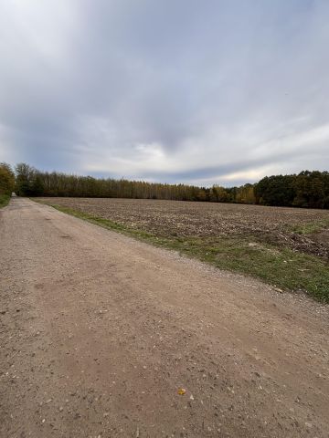 Działka rolna Wołucza. Zdjęcie 1