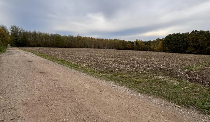 Działka rolna Wołucza