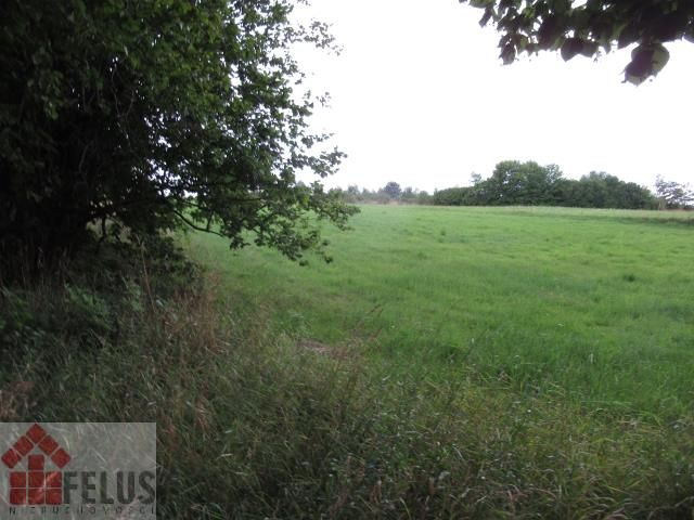 dom wolnostojący, 9 pokoi Paczółtowice. Zdjęcie 5