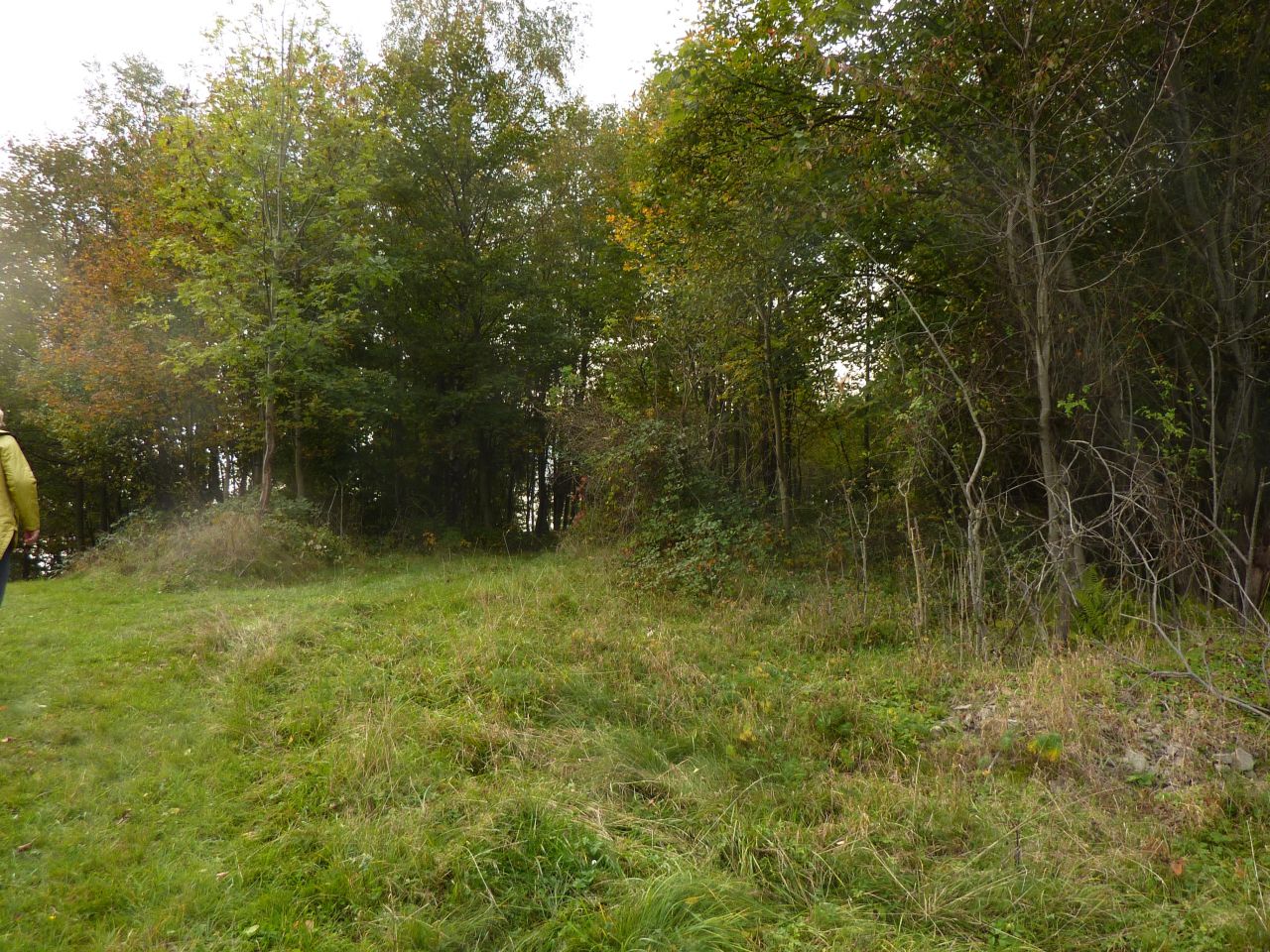 Działka rolna Pewel Wielka Garleje. Zdjęcie 17