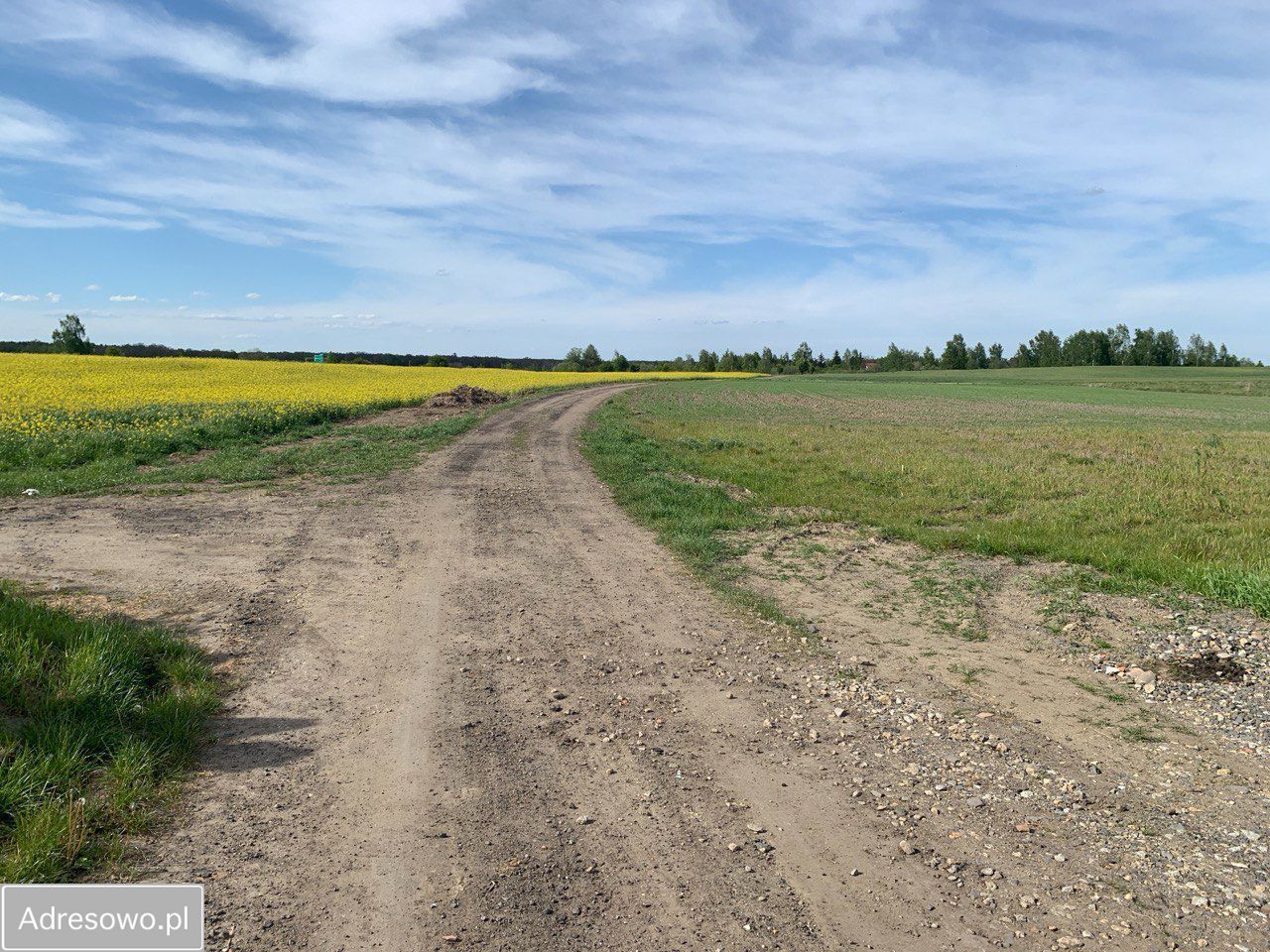 Działka budowlana Rzeszotary, ul. Młyńska. Zdjęcie 2