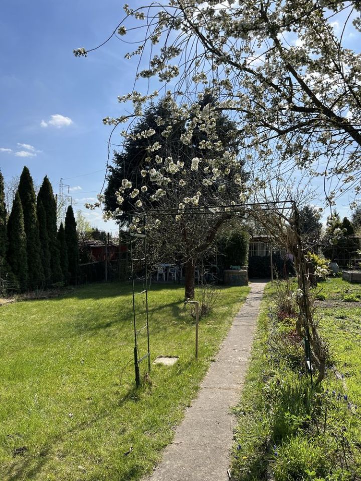 Działka rod Poznań Winogrady. Zdjęcie 4