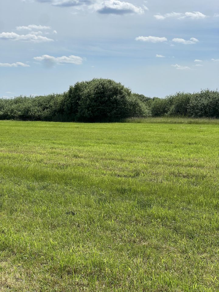 Działka rolno-budowlana Przygodzice, ul. Krańcowa. Zdjęcie 2