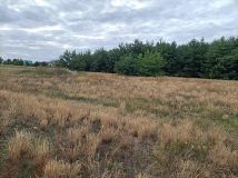 Działka rekreacyjna Miłkowice. Zdjęcie 3