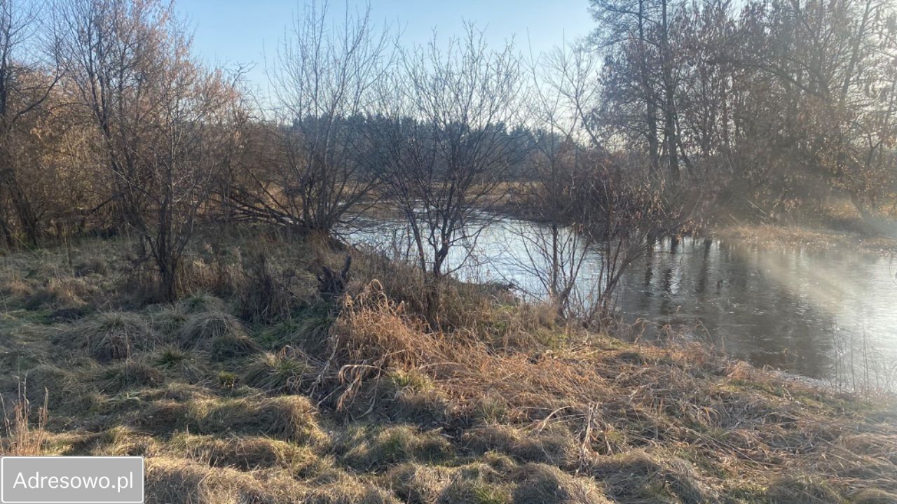 Działka siedliskowa Dobrzyniec. Zdjęcie 17