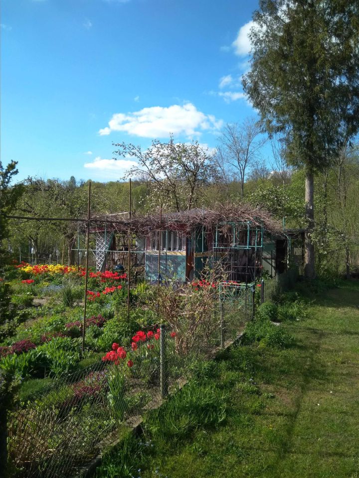Działka rod Gorzów Wielkopolski Śródmieście, ul. Warszawska. Zdjęcie 2