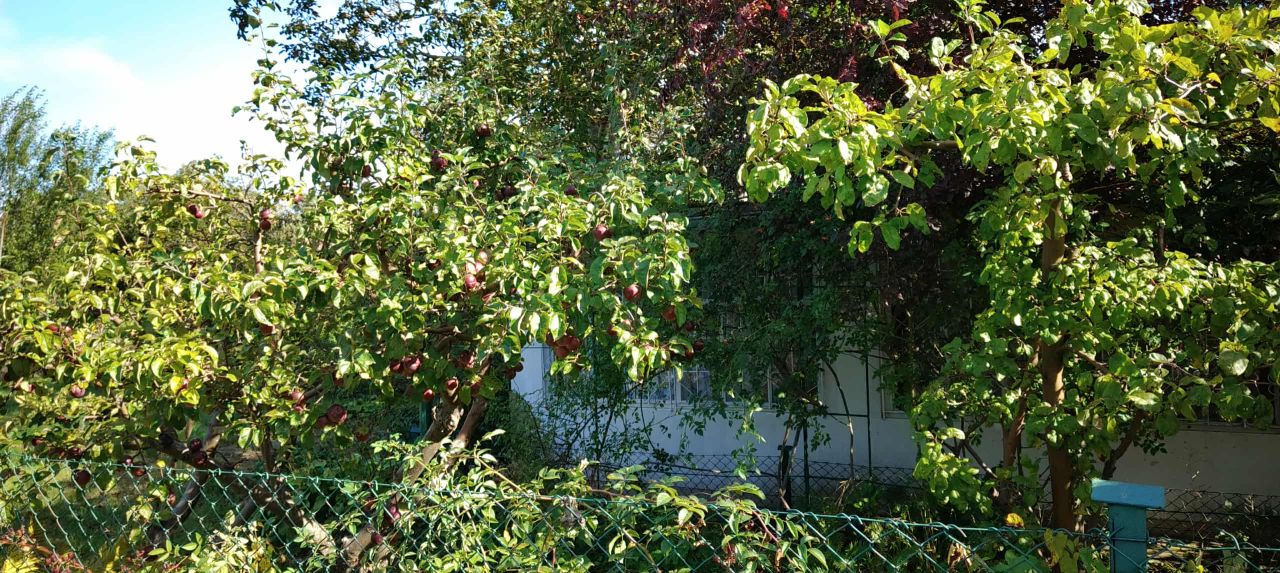 Działka rod Sopot Świemirowo, ul. Mikołaja Reja. Zdjęcie 11