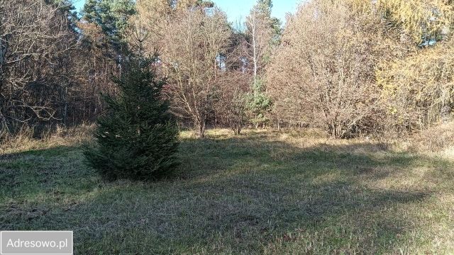 Działka budowlana Kiełkowice, ul. Więcki. Zdjęcie 1