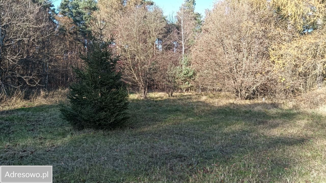 Działka budowlana Kiełkowice, ul. Więcki