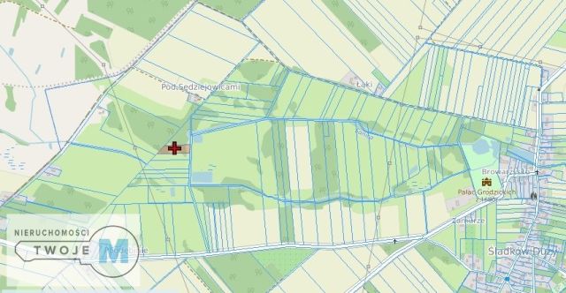 Działka rolna Śladków Duży. Zdjęcie 3