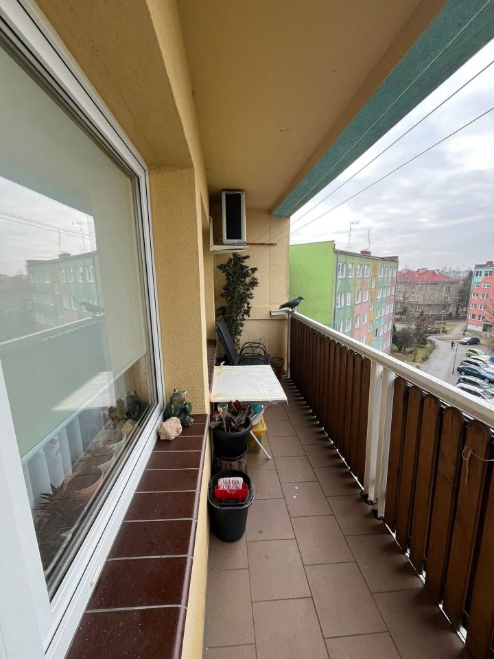 Mieszkanie 2-pokojowe Jelcz-Laskowice, ul. Ludwika Hirszfelda. Zdjęcie 8