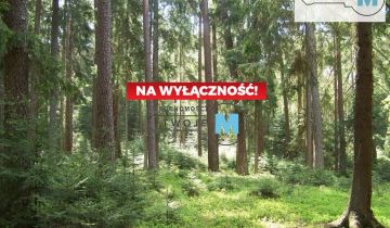 Działka leśna Sędziejowice