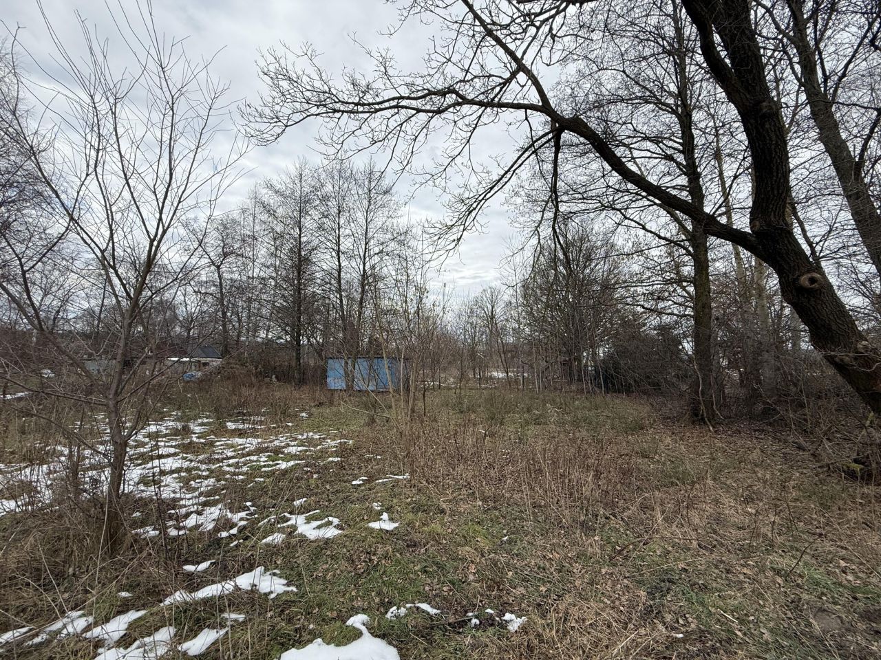 Działka rekreacyjna Czyżemin. Zdjęcie 6