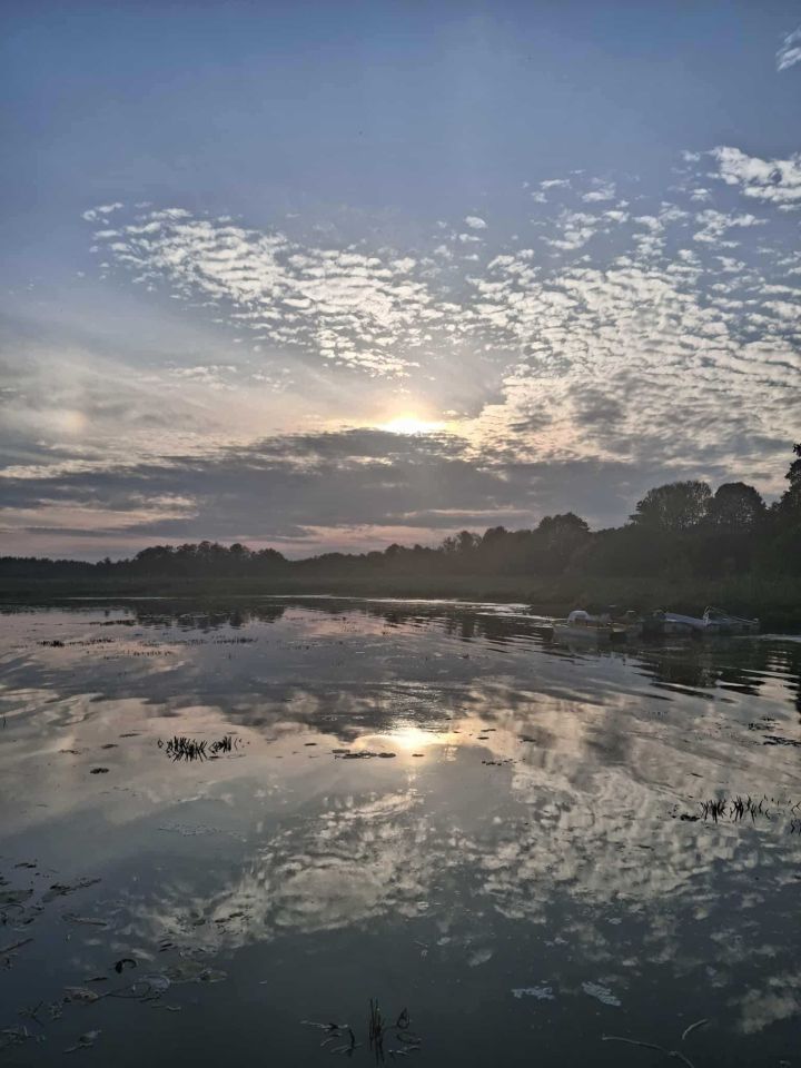 Działka rolna Sędańsk. Zdjęcie 5