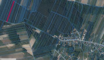 Działka leśna Żuków