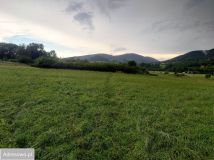 Działka budowlana Przenosza. Zdjęcie 3