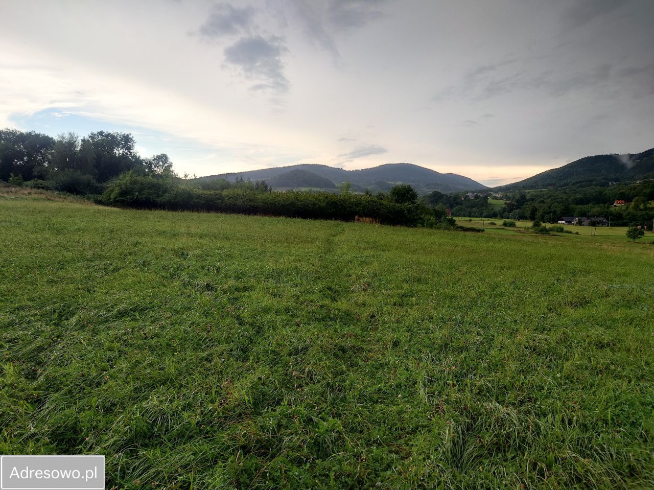 Działka budowlana Przenosza. Zdjęcie 4