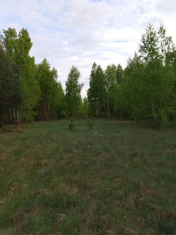 Działka rekreacyjna Adamówek, ul. Pańska. Zdjęcie 1