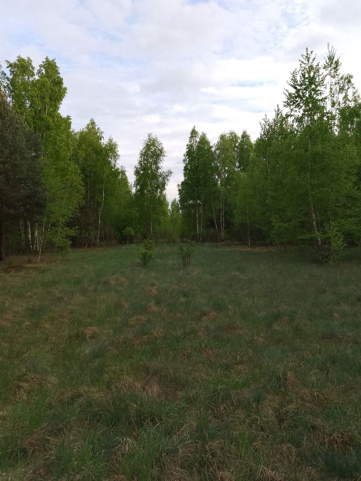 Działka rekreacyjna Adamówek, ul. Pańska