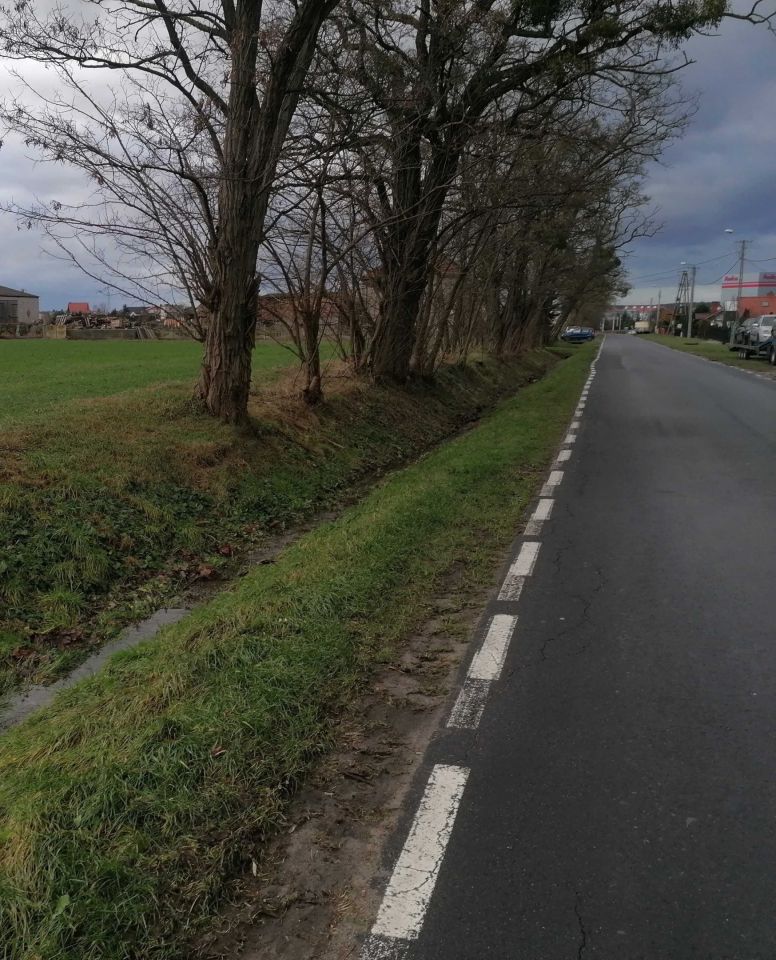 Działka budowlana Wronki. Zdjęcie 6