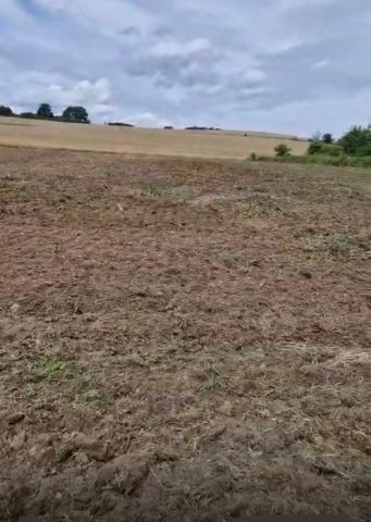 Działka budowlana Morzęcin Wielki. Zdjęcie 1