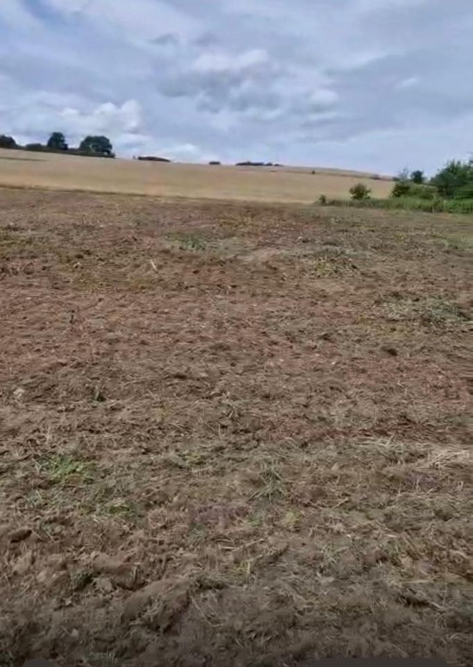 Działka budowlana Morzęcin Wielki