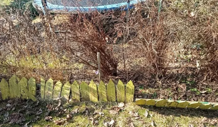 Działka rod Gdynia, ul. Hutnicza