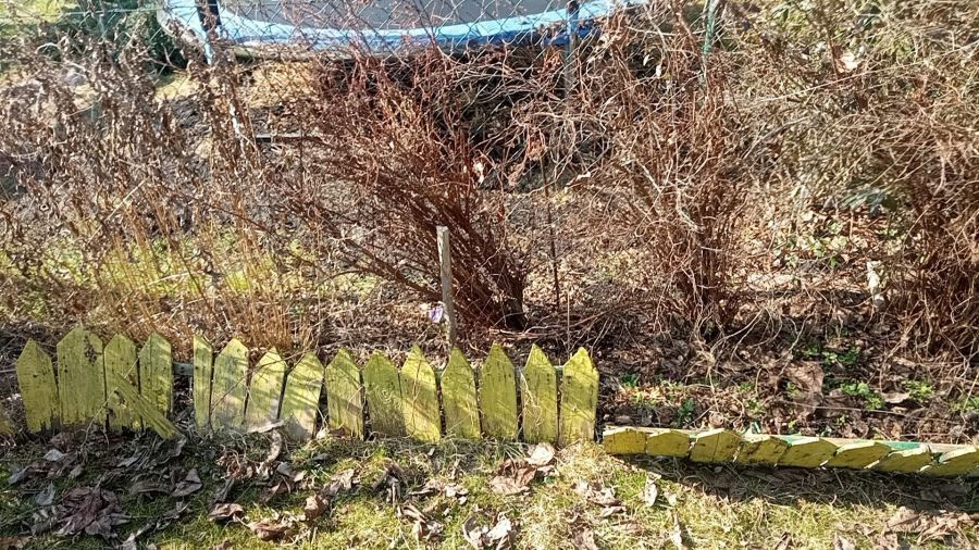 Działka rod Gdynia, ul. Hutnicza. Zdjęcie 1