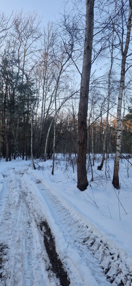 Działka rolna Ostrów Wiktorzec. Zdjęcie 2