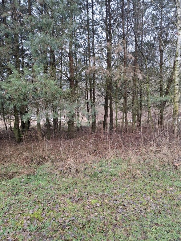 Działka rekreacyjna Jejkowice. Zdjęcie 3