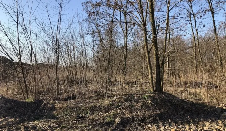 Działka budowlana Bytom