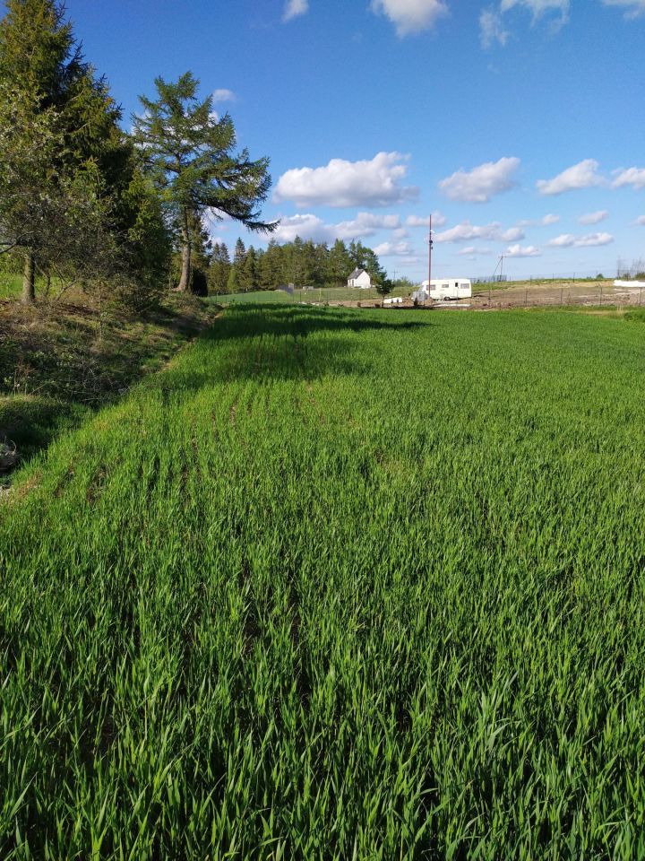 Działka budowlana Połęczyno, ul. Żołnierzy Niezłomnych. Zdjęcie 4