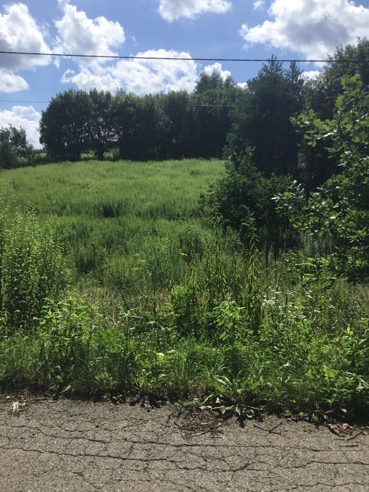 Działka inna Minoga. Zdjęcie 2