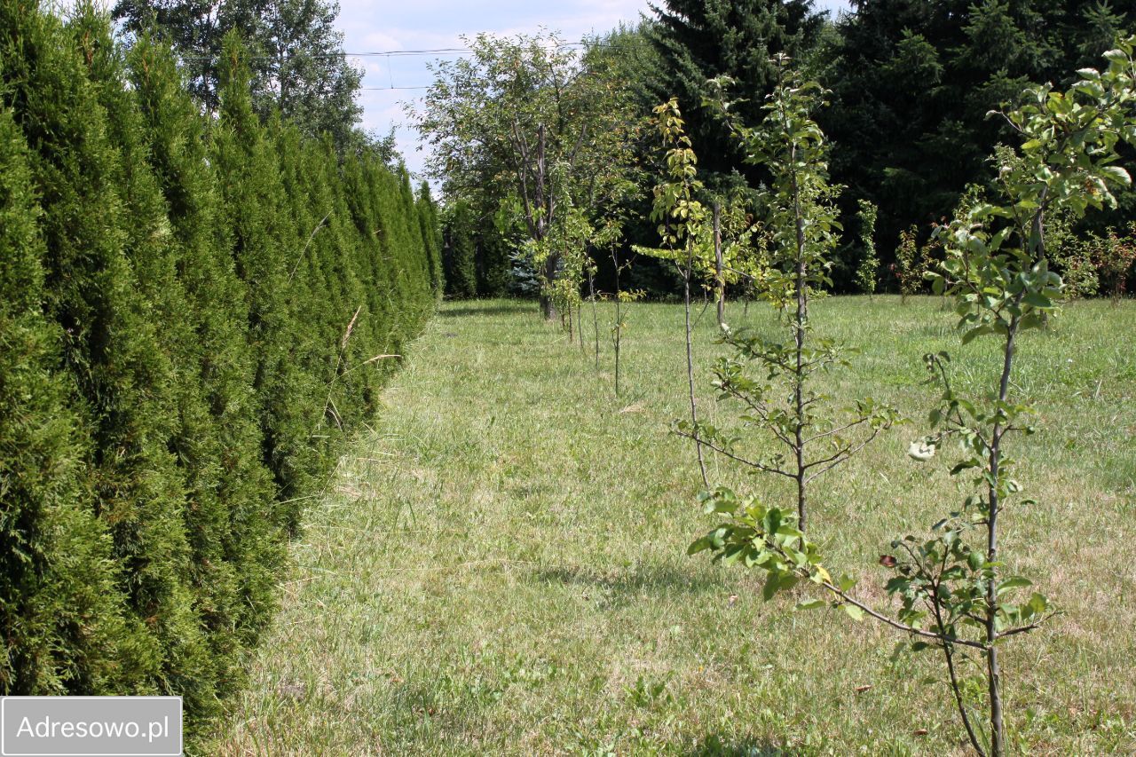 Działka inwestycyjna Sosnowiec Stary Sosnowiec, ul. Wiejska. Zdjęcie 12