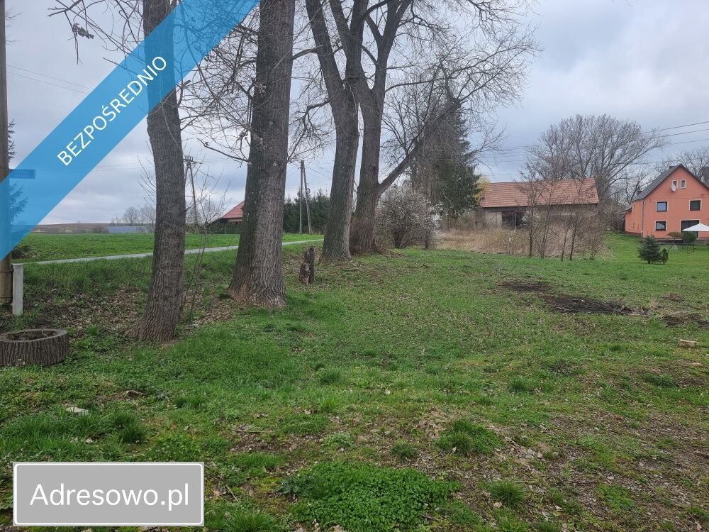 Działka siedliskowa Niedźwiednik. Zdjęcie 3