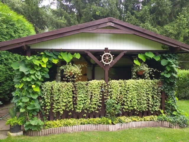 Działka rod Biedrusko. Zdjęcie 1