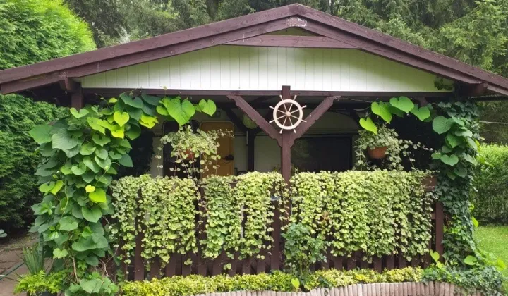 Działka rod Biedrusko