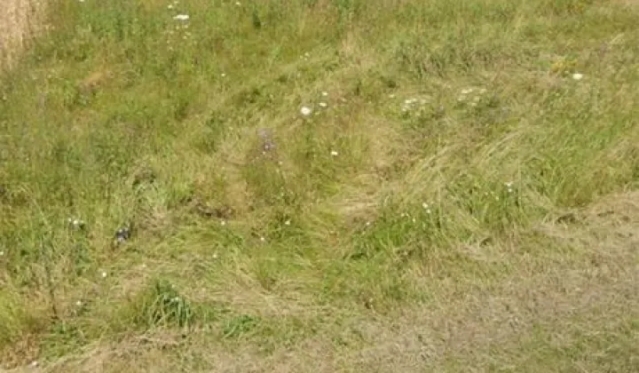 Działka rolna Świetlikowa Wola