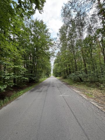 Działka leśna Biała Podlaska, ul. Graniczna. Zdjęcie 1