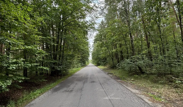 Działka leśna Biała Podlaska, ul. Graniczna