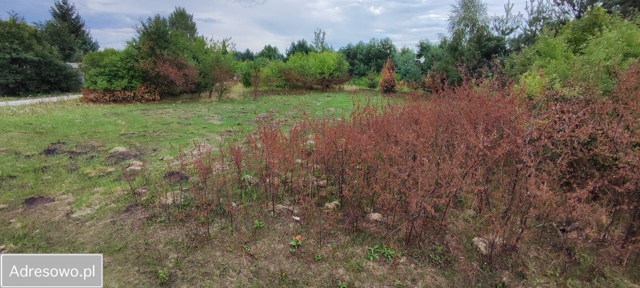 Działka budowlana Dobiesz, ul. Mazowiecka. Zdjęcie 8