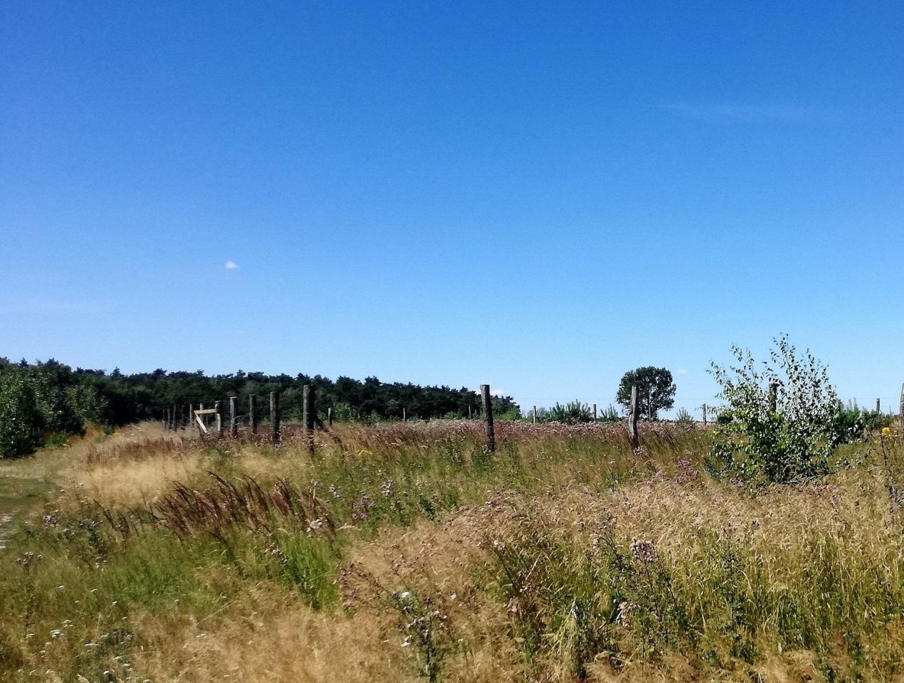 Działka budowlana Mościszki. Zdjęcie 6