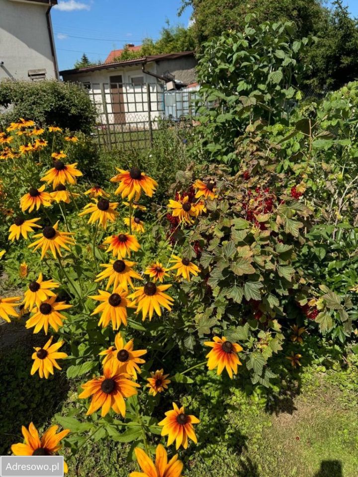 dom wolnostojący, 5 pokoi Ełk Zatorze, ul. Śląska. Zdjęcie 11