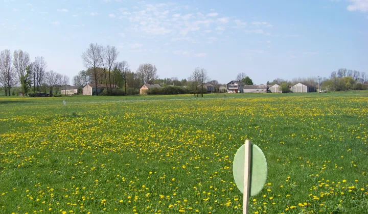 Działka rolna Czaple Górne