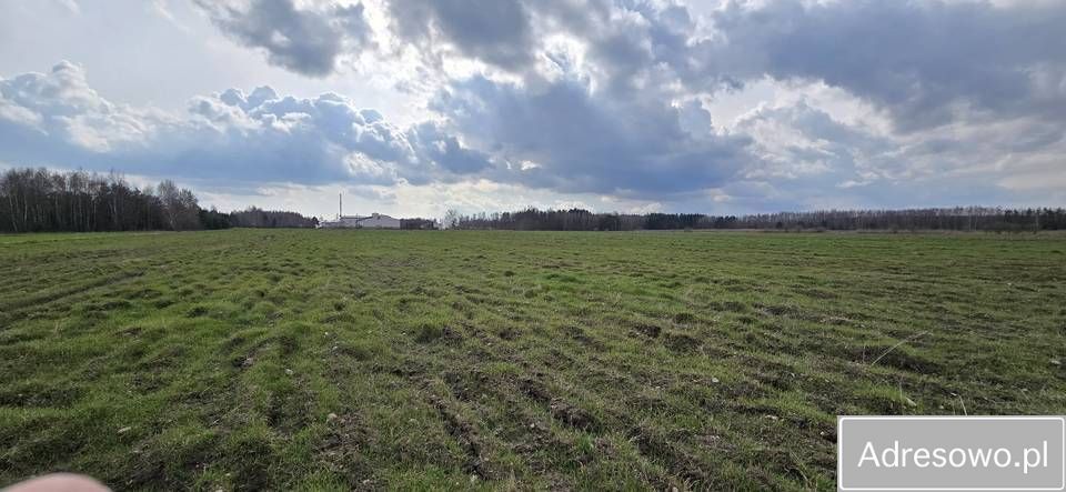 Hala/magazyn Guzów-Kolonia. Zdjęcie 7