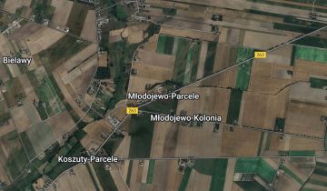 Działka rolno-budowlana Młodojewo-Parcele
