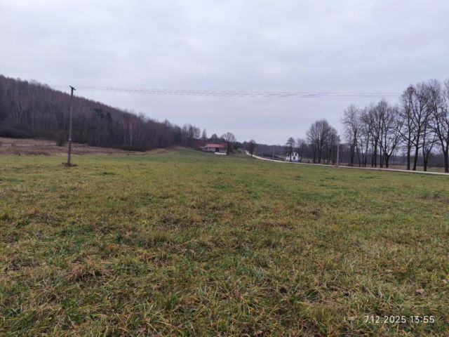 Działka budowlana Czyżów. Zdjęcie 1